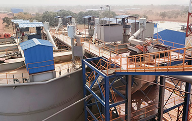 Guinea 3000 TPD Gold Carbon-In-Pulp Plant Project Operation