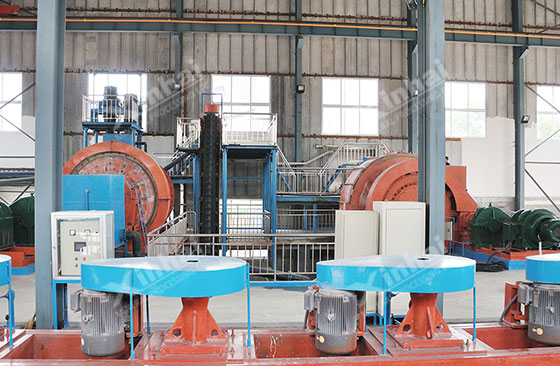 Shandong 1000tpd gold processing plant